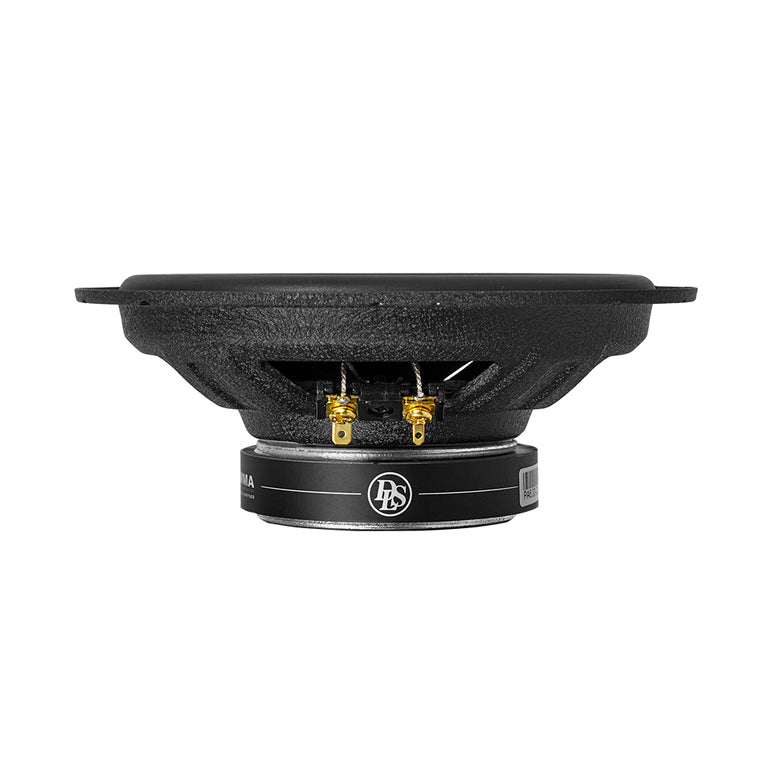 DLS Performance PA6.20