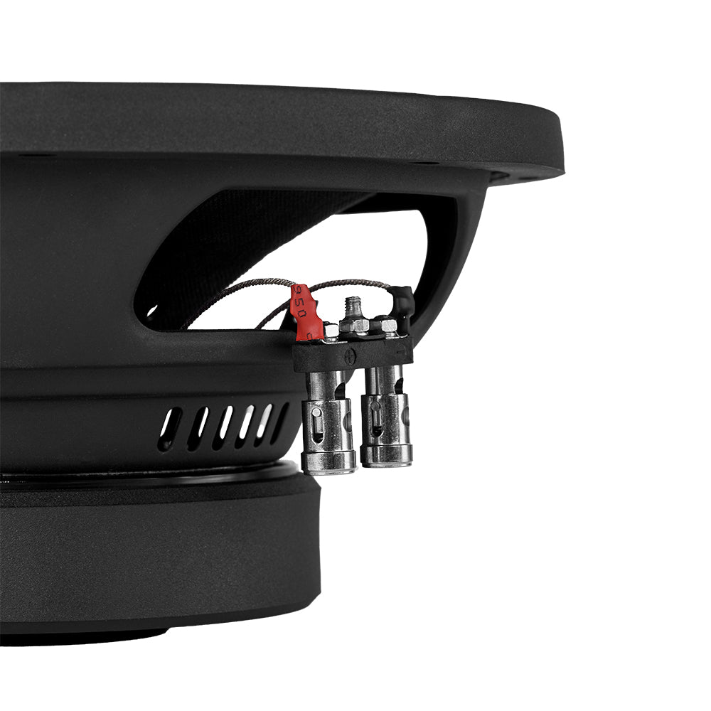 DLS Performance PE10.D2