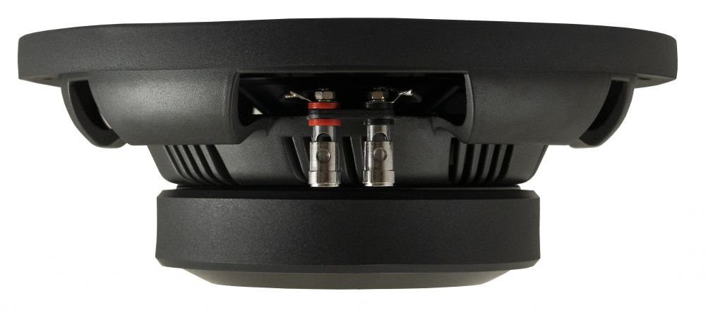 DLS Performance PS10