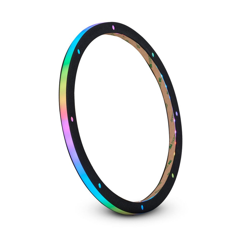 DS18 10-tommers digital RGB LED-ring til højttalere/baser