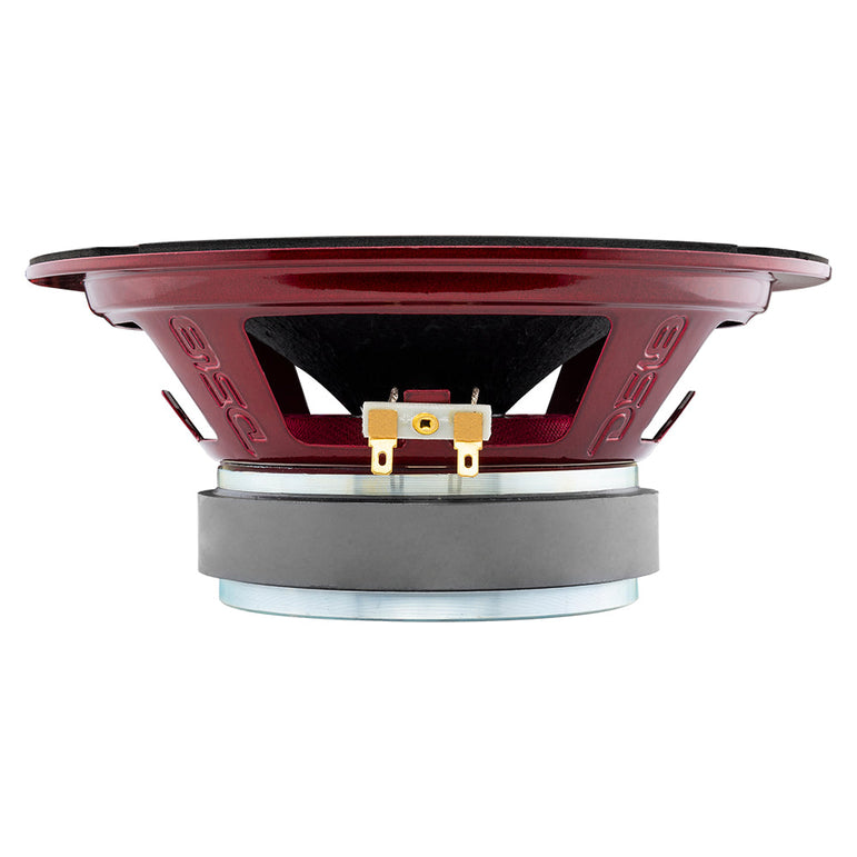 DS18 PRO-X8.4RGBCAP, 8 tommer mellembas med RGB LED-belysning
