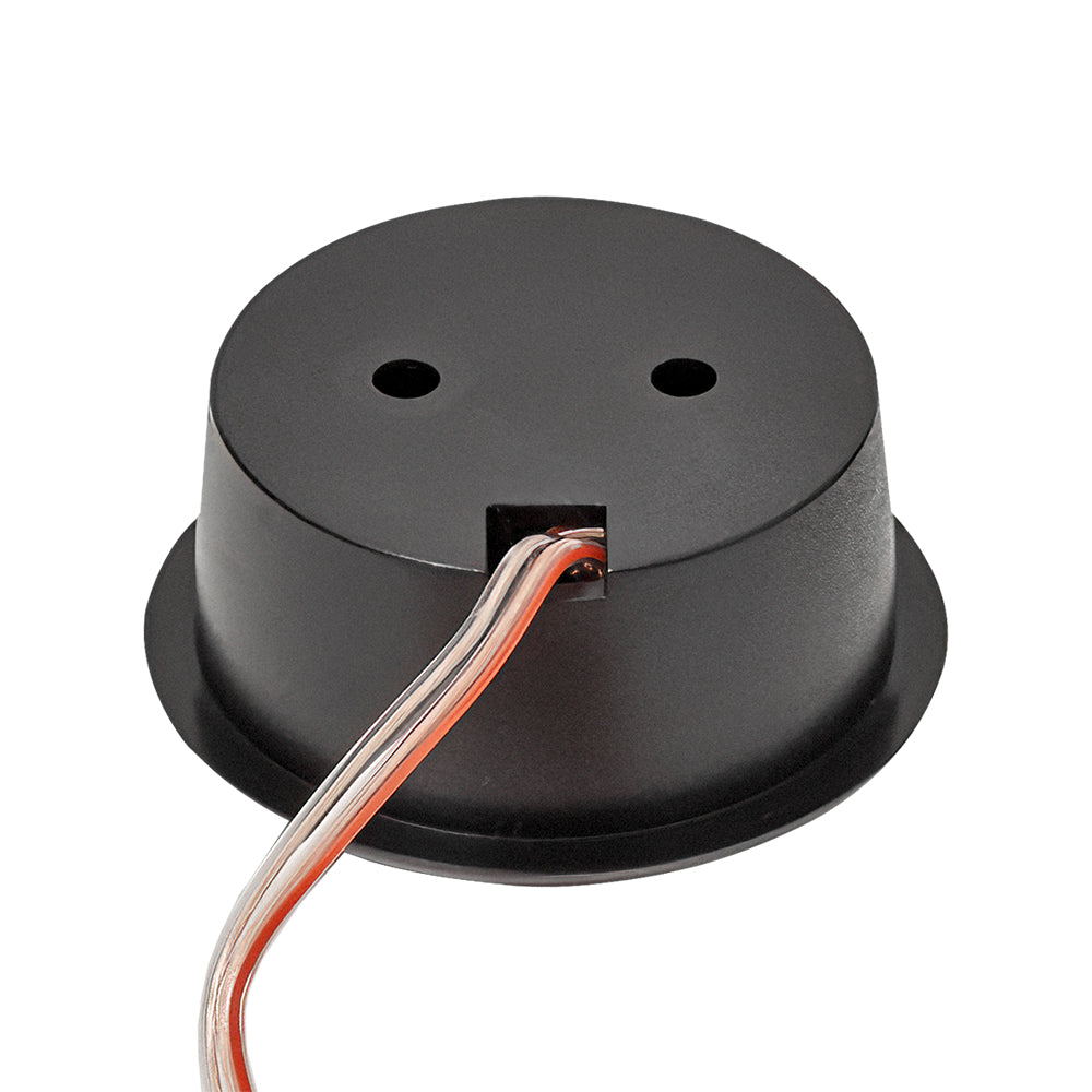 Bass Habit Rebel R165C