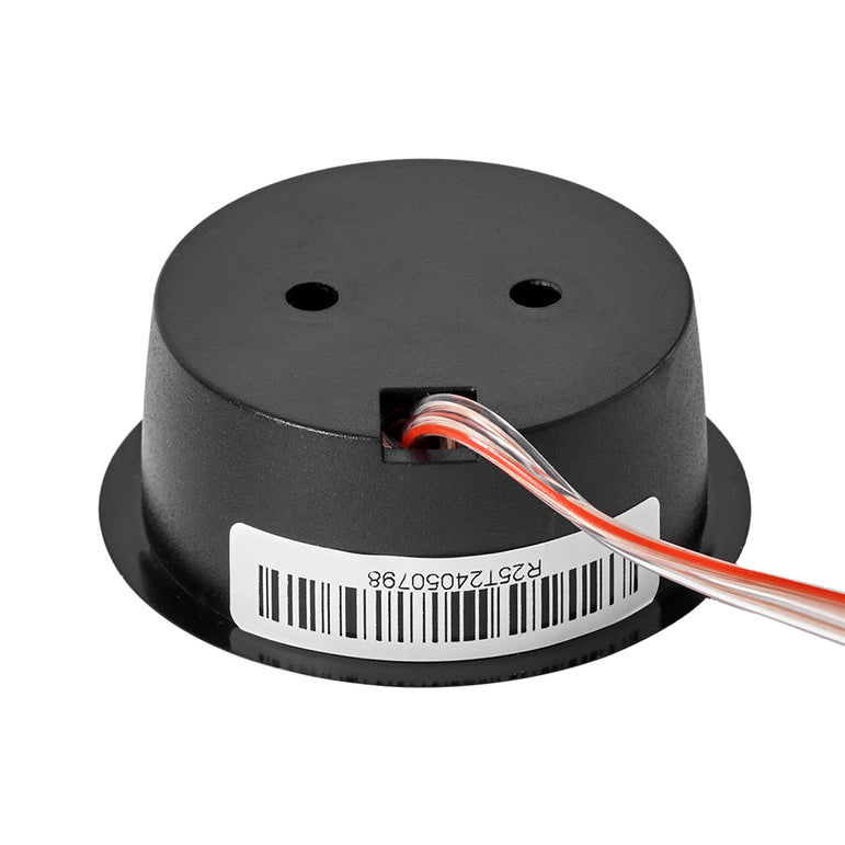 Bass Habit Rebel R25T