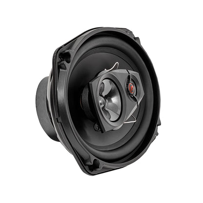 Bass Habit Rebel R690